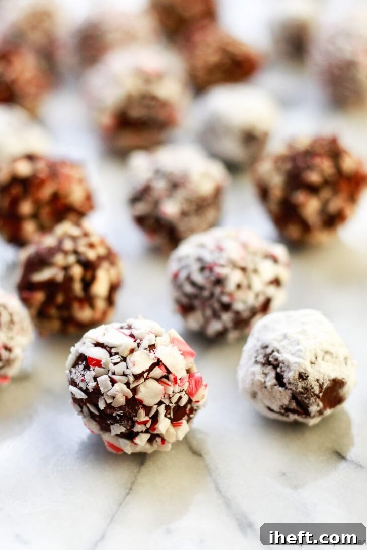 Chocolate truffles coated in peppermints, powdered sugar, and nuts. 