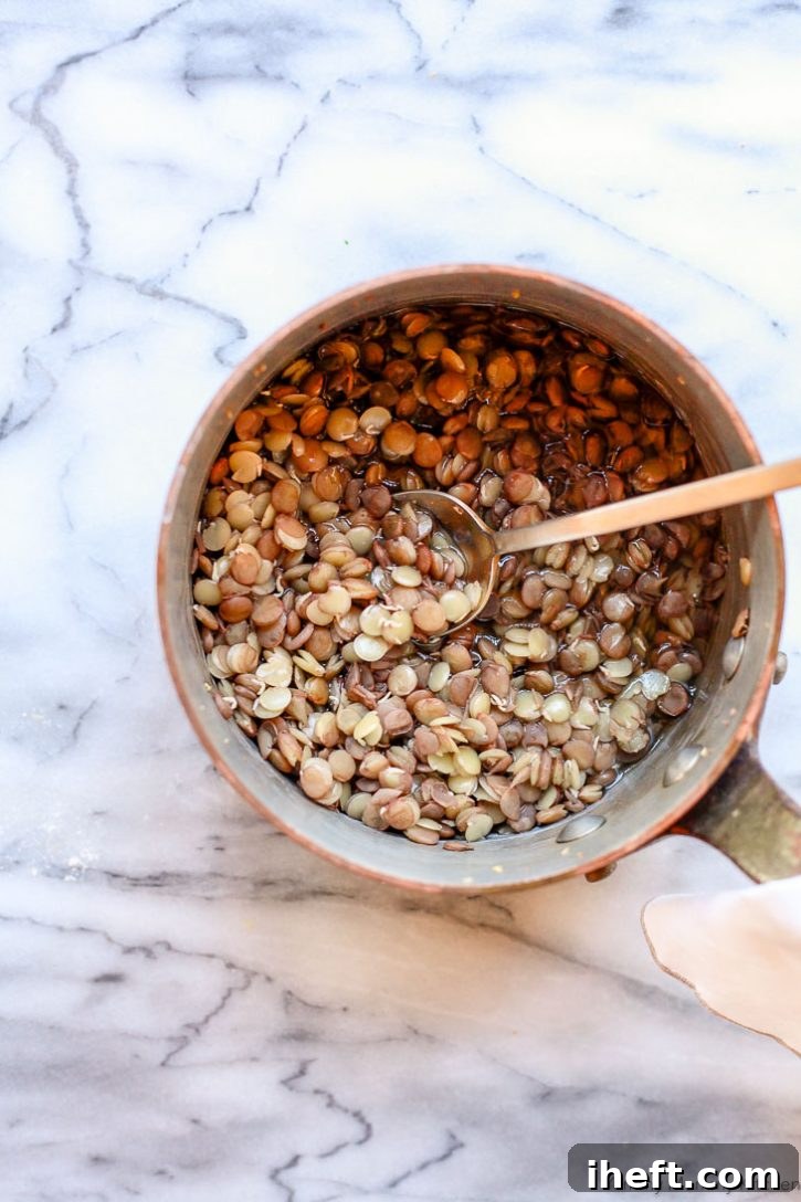 Cooked green lentils in a saucepan. 