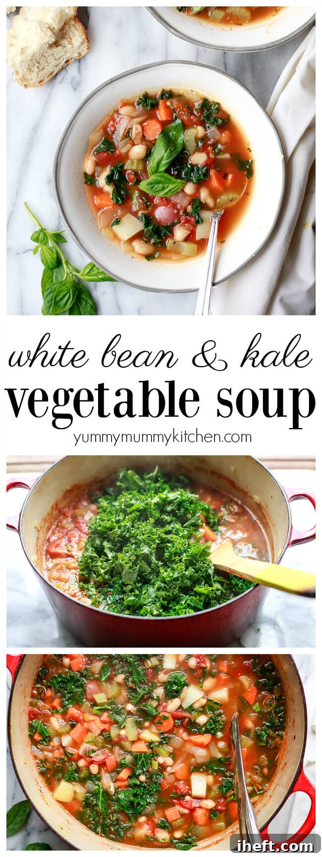 A beautifully presented bowl of hearty and healthy winter white bean and kale vegetable soup, embodying a perfect plant-based, vegetarian, and vegan meal.