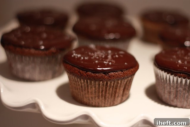 Delicious chocolate stout cupcakes with salted ganache, a rich St. Patrick's Day dessert.