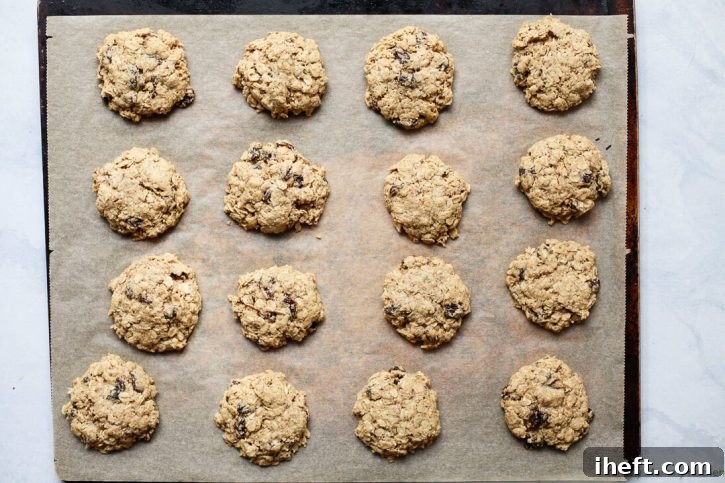 Vegan gluten-free oatmeal cookies on a cookies sheet. 