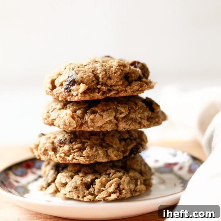 Oatmeal Raisin Cookies (Vegan, Gluten-Free)