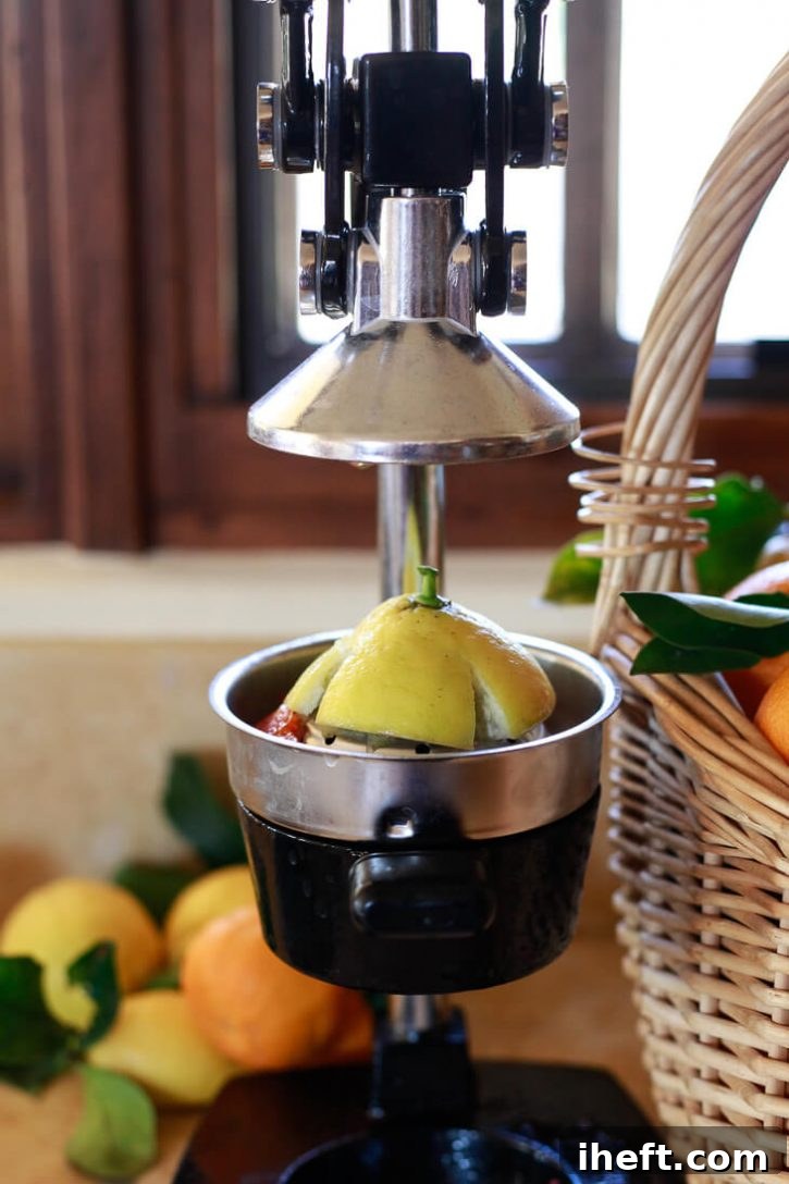 Half a lemon in a commercial grade manual citrus juicer on a kitchen counter. 