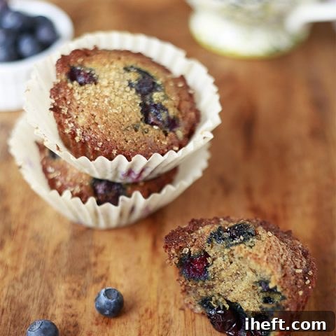 Delicious banana muffins filled with fresh blueberries, a perfect healthy treat.