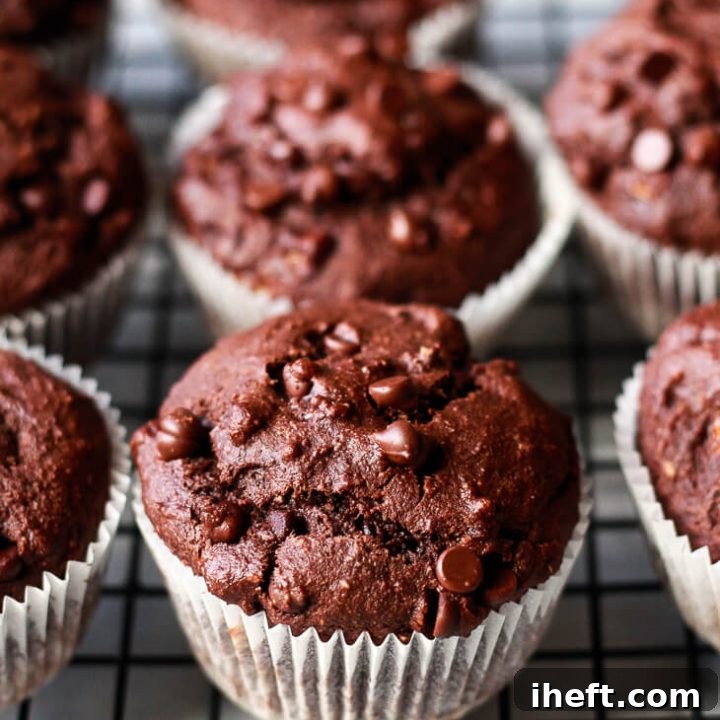 Chocolate Banana Muffins