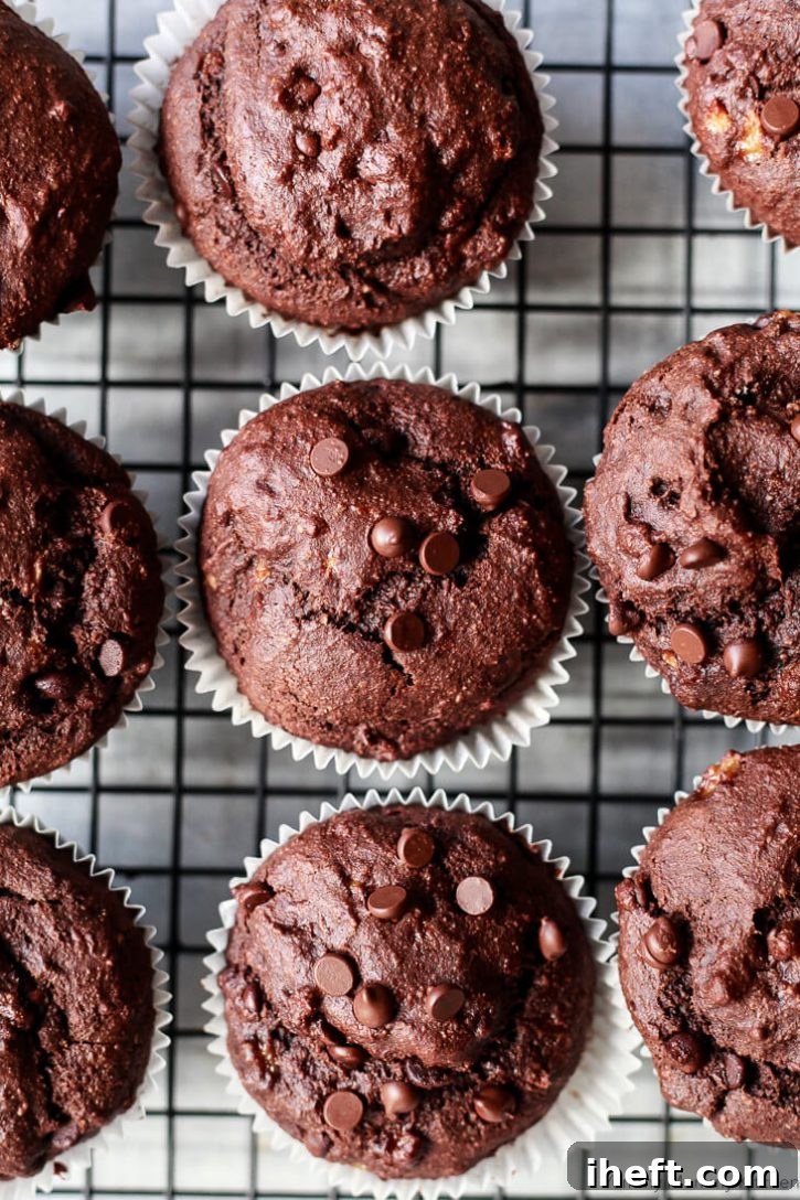 Chocolate banana muffins on a cooling wrack photographed from above. These delicious vegan gluten free chocolate banana muffins are topped with chocolate chips.