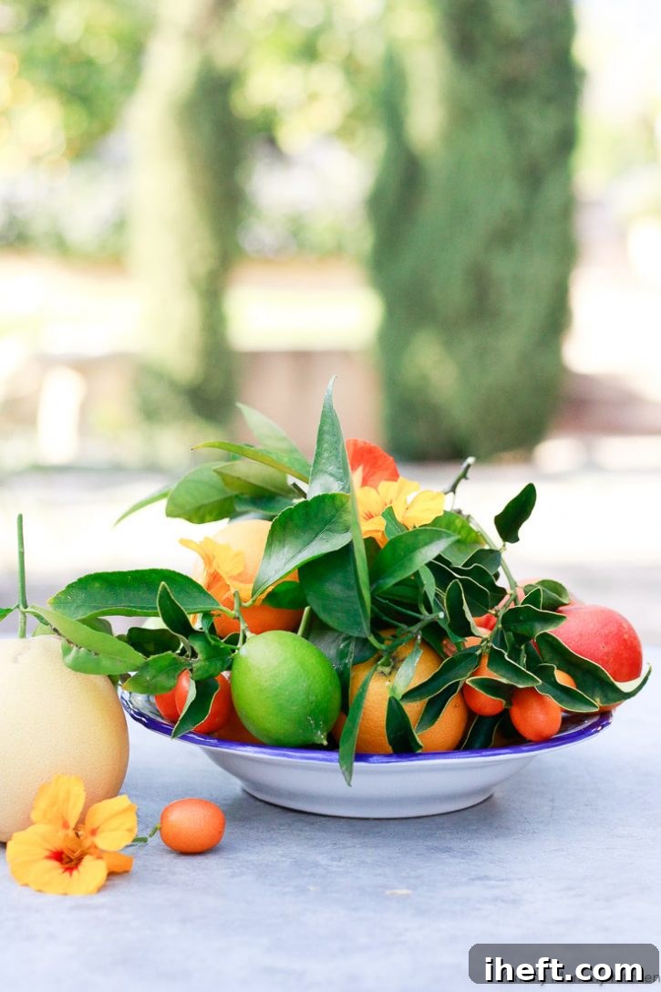 A bowl of freshly picked citrus fruits including oranges, grapefruits, and limes.