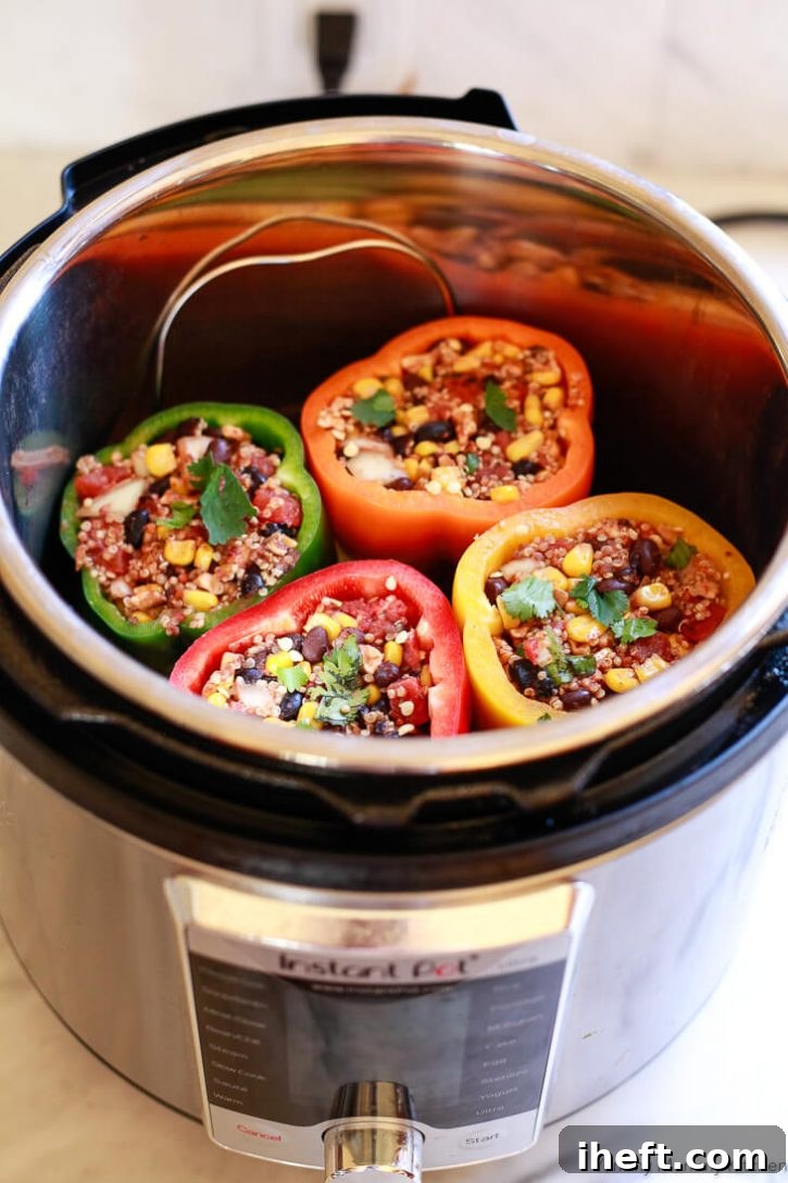 Colorful stuffed bell peppers in an Instant Pot pressure cooker before being cooked. 