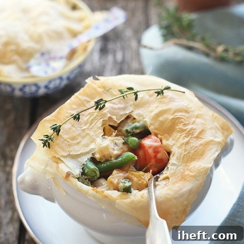 Beautiful vegetarian pot pie with phyllo crust, ready to be served.