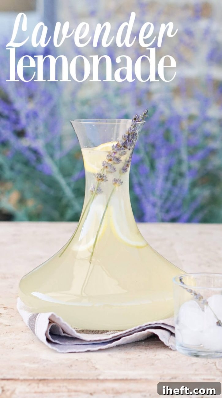 How to make lavender lemonade with fresh or dried lavender flowers and fresh lemons. 