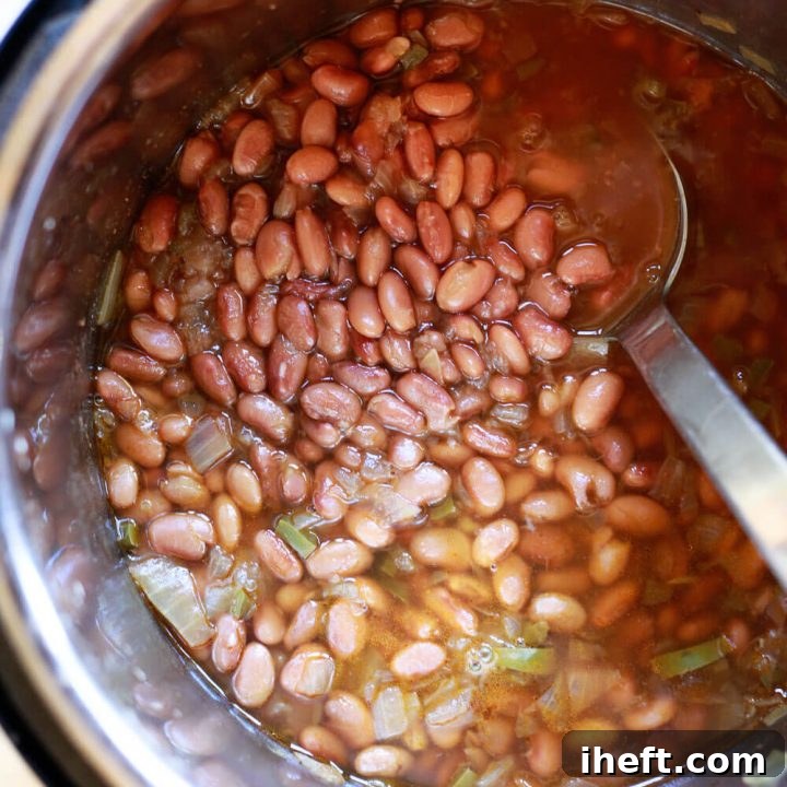 Pinto Beans