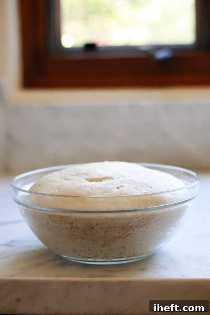 A clear glass bowl filled with freshly prepared homemade vegan pizza dough, perfectly risen and resting on a pristine marble countertop, ready for shaping.