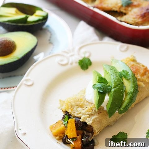 A beautifully plated roasted butternut squash and black bean enchilada, garnished with fresh avocado slices and a dollop of sour cream.
