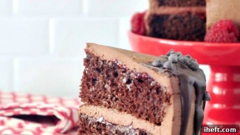 Luxurious Vegan Chocolate Mousse Cake made with tofu