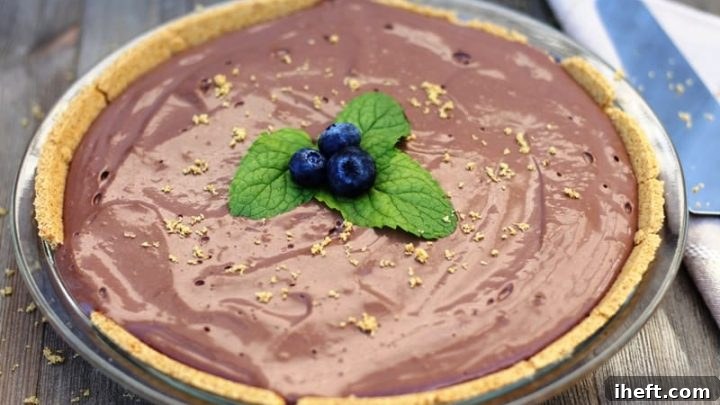 Decadent Chocolate Vegan No-Bake Pie
