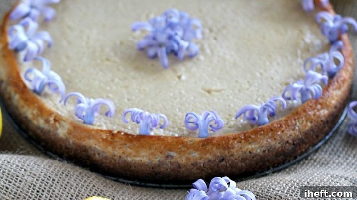 Tangy and creamy Vegan Lemon Tofu Cheesecake