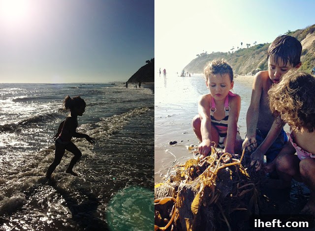 Two young children joyfully exploring a large piece of kelp on a sandy beach, with the ocean in the background.