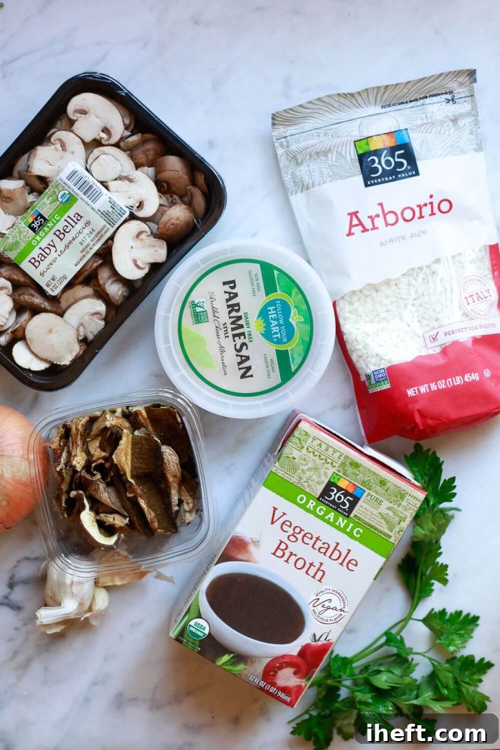 Ingredients for mushroom risotto laid out on a marble countertop, including Arborio rice, Parmesan cheese, a mix of dried and fresh mushrooms, vegetable broth, an onion, and garlic cloves.