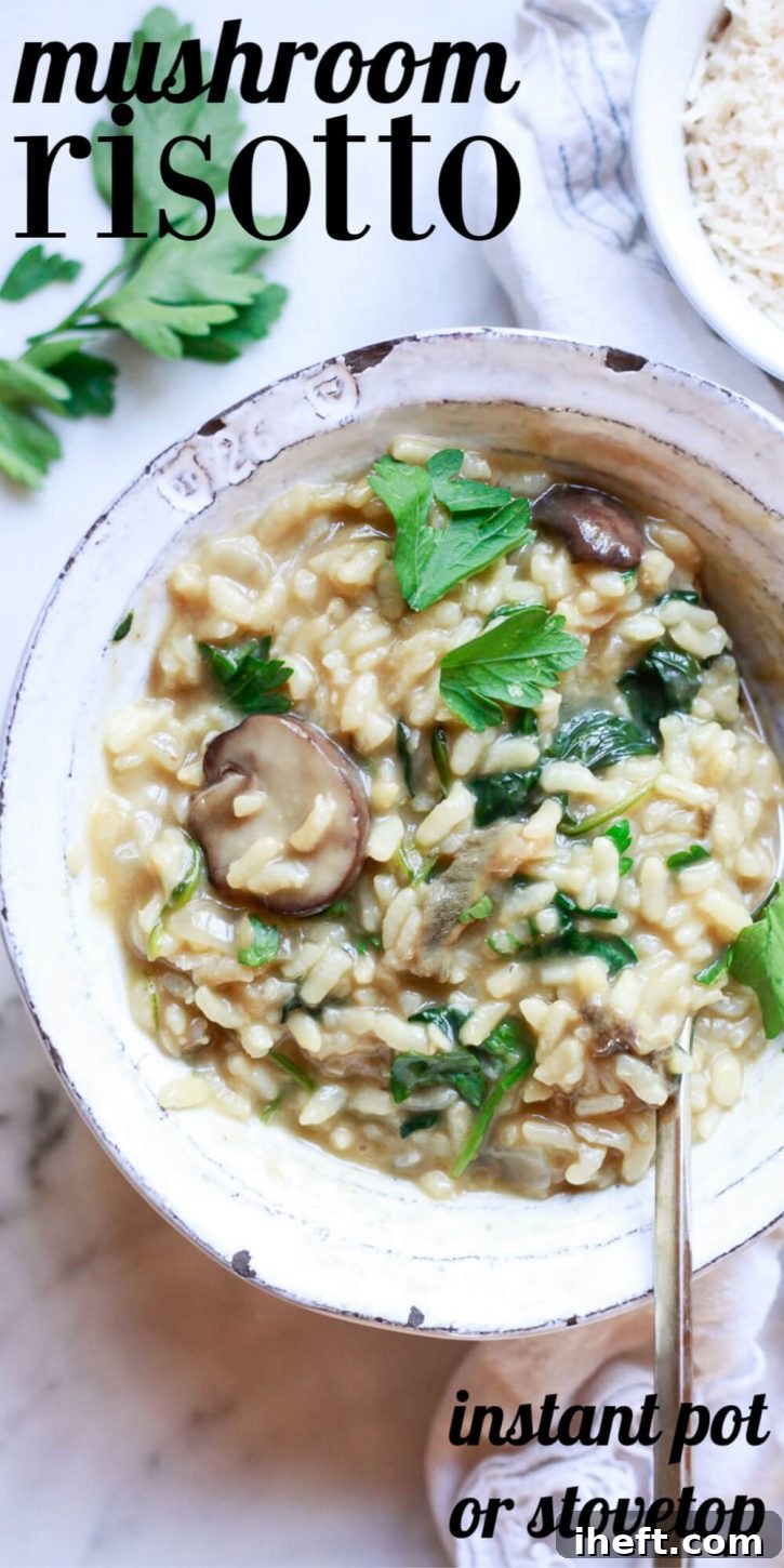 A close-up shot of creamy vegetarian or vegan mushroom risotto, ready to be served, showcasing its delicious texture and inviting warmth.