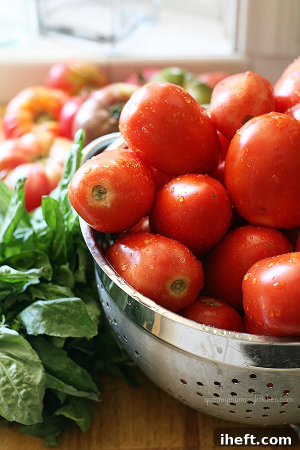 Fresh Roma Tomatoes and Basil for Marinara Sauce