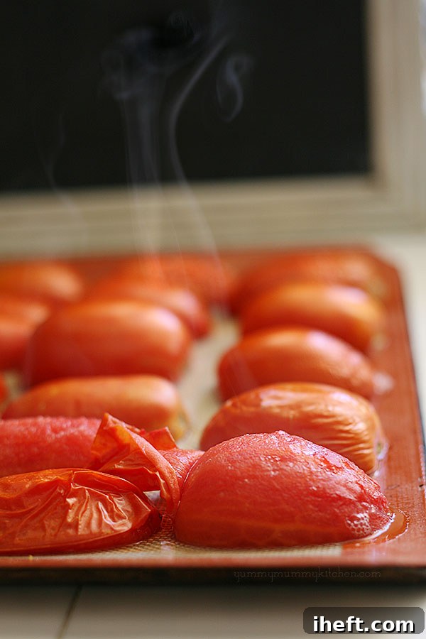 Close-up of Freshly Picked Roma Tomatoes