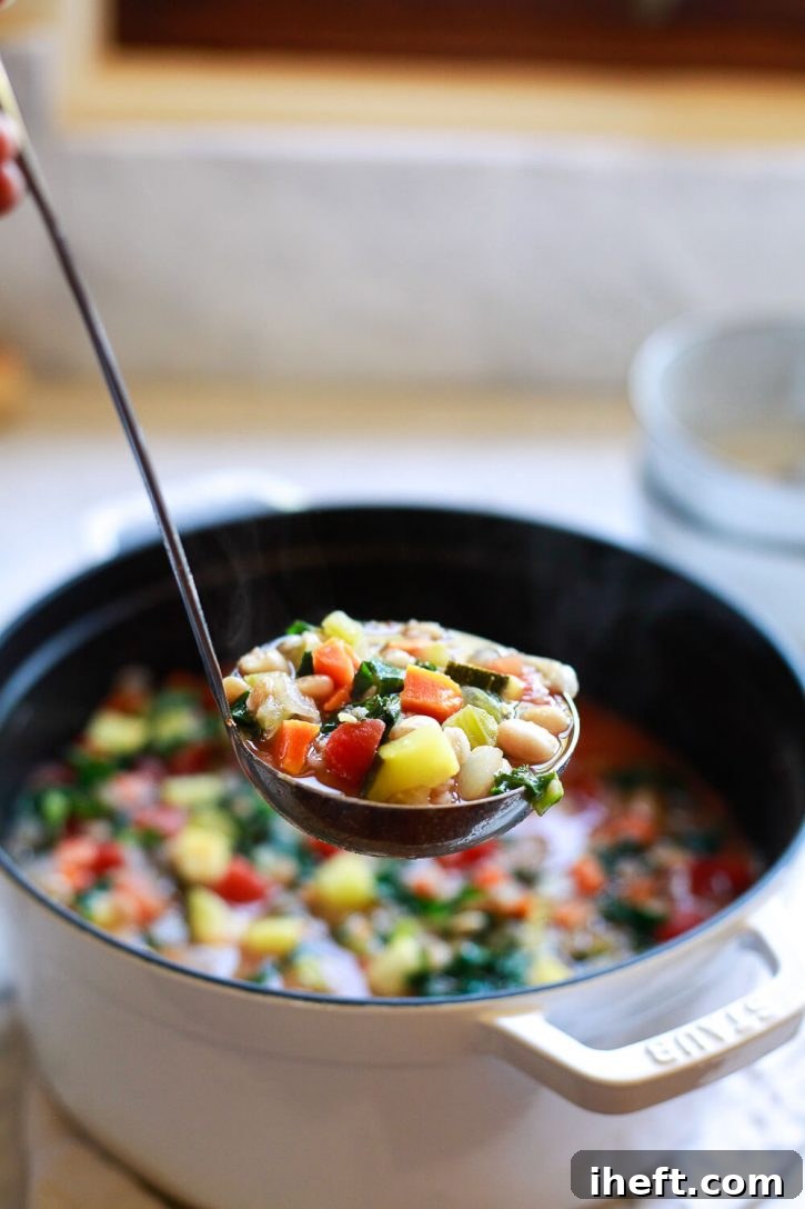 A beautiful, vibrant ladleful of healthy vegetable soup, a vegetarian and vegan Italian delight brimming with colorful veggies like zucchini, tomatoes, carrots, celery, kale, hearty farro, and creamy white beans.