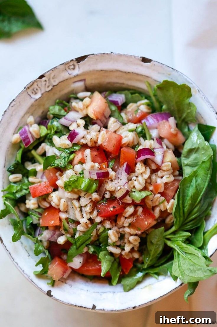 Farro Recipes: The Italian Ancient Grain Guide