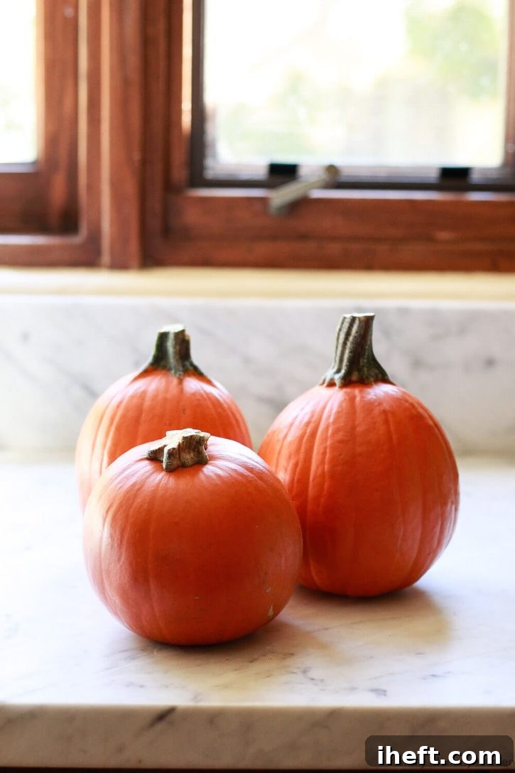 Three sugar pie pumpkins on a countertop before cooking and making pumpkin puree for pie. 
