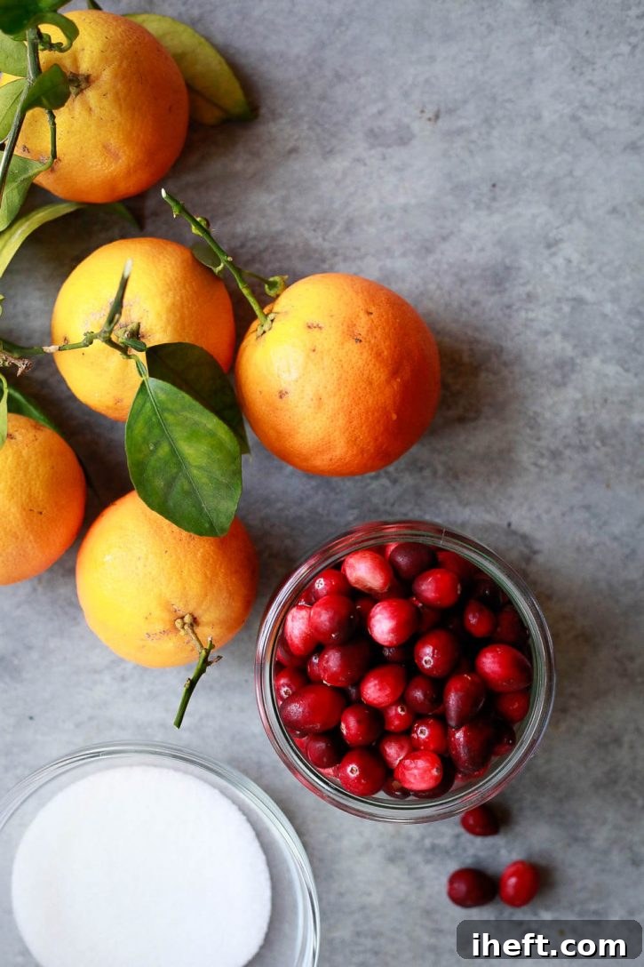 A rustic countertop displays the core ingredients for a healthy, sugar-free, and keto-friendly cranberry sauce: fresh, plump oranges, ruby-red cranberries, and a bag of zero-carb Monk fruit sweetener. These ingredients are ready to be transformed.