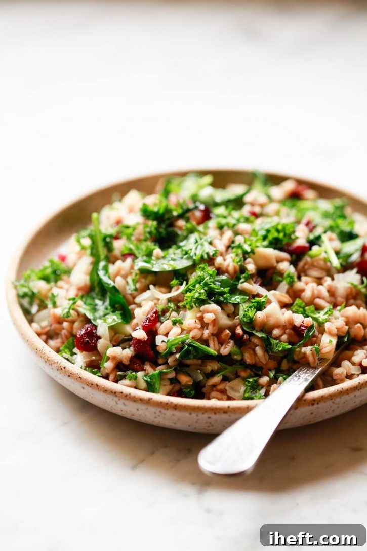 Warm farro grain salad with spinach, dried cranberries, pecans, and herbs beautifully arranged on a speckled ceramic plate, ready to be served as a holiday side dish.