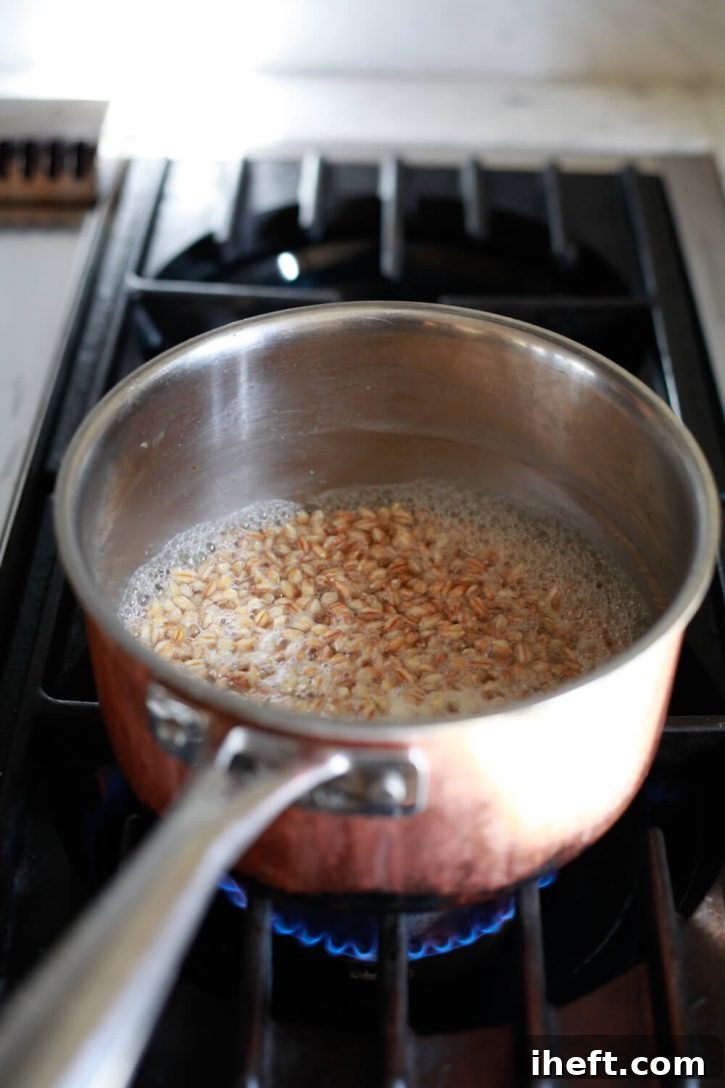 Farro grains simmering gently in salted water on a stovetop, preparing for a delicious salad.
