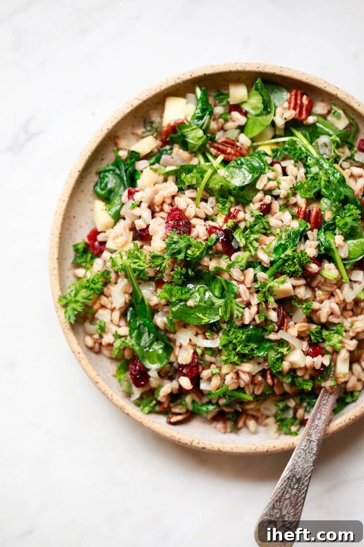 Finished warm farro grain recipe with plump cranberries, fresh spinach, toasted nuts, and chopped herbs, showcasing a beautiful vegetarian and vegan side dish perfect for Thanksgiving or Christmas.