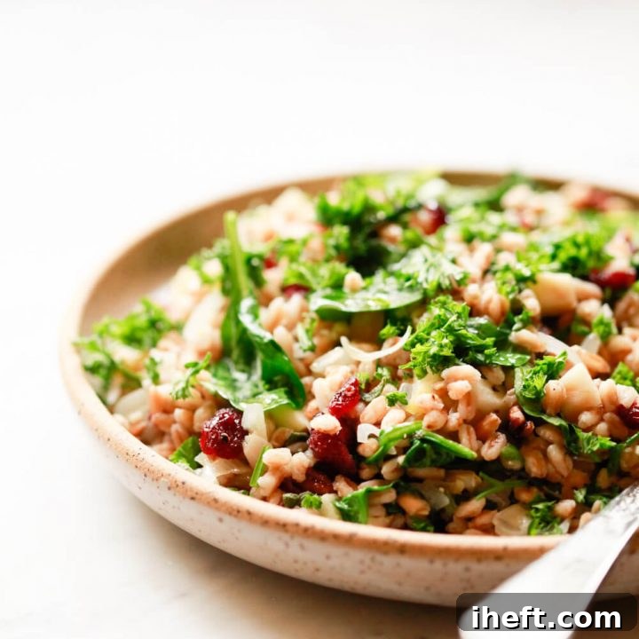 Warm Farro Salad with cranberries, wilted spinach, pecans, and herbs.