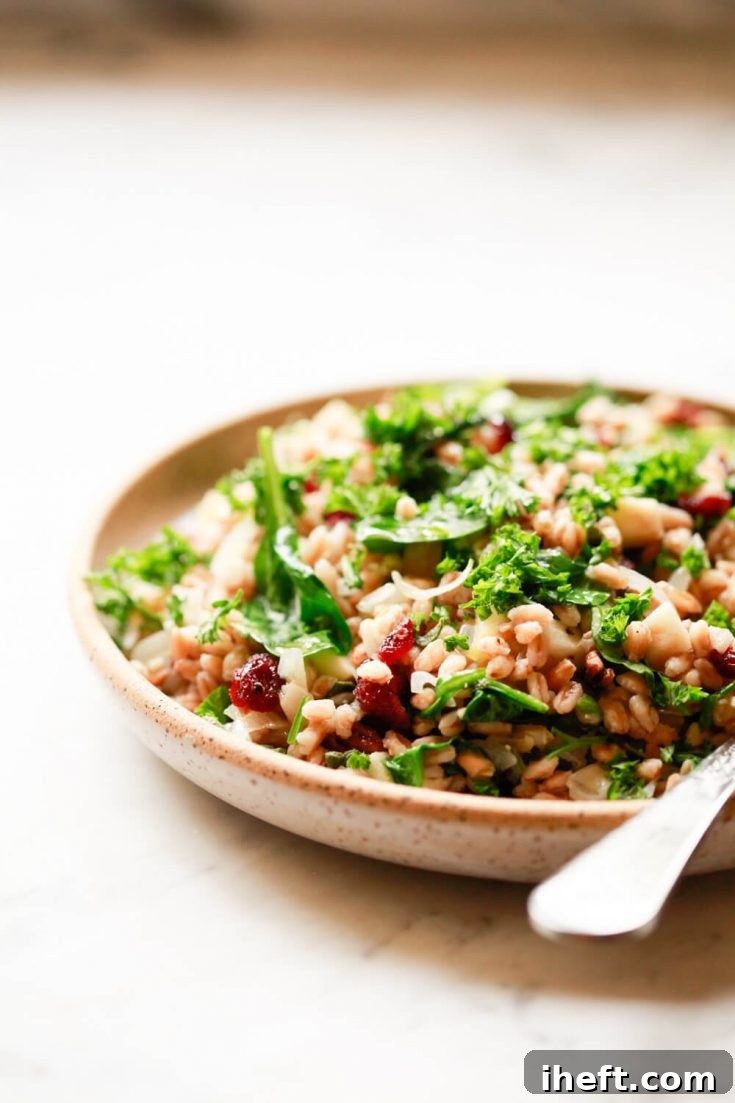 Warm farro salad with cranberries, wilted spinach, pecans, and herbs, a festive holiday side dish recipe.