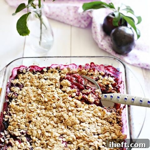 Plum Berry Crisp ready to be served