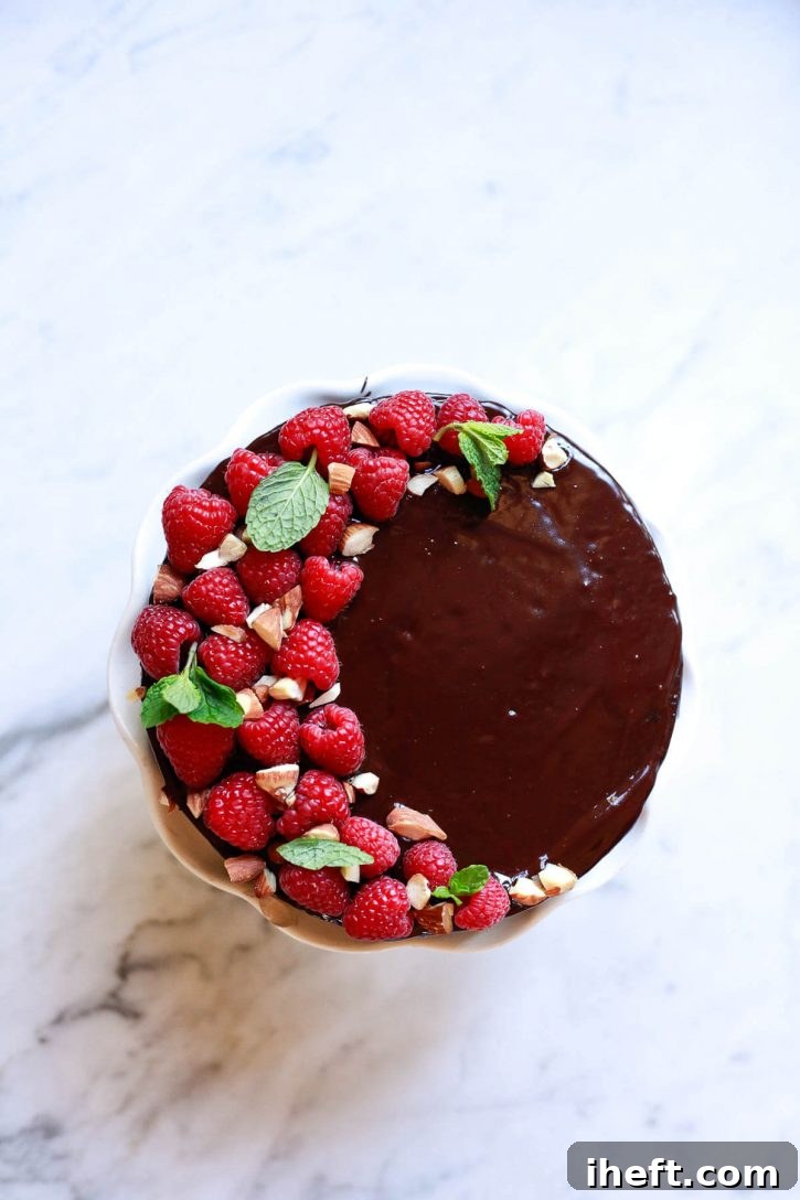 A stunning vegan chocolate cake, generously topped with smooth vegan chocolate ganache and fresh raspberries, presented on a minimalist white background.