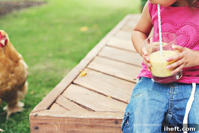 Enjoying a healthy tropical chia smoothie in a garden setting with a playful chicken