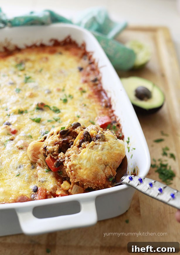 A savory quinoa enchilada bake with black beans and butternut squash, fresh from the oven.