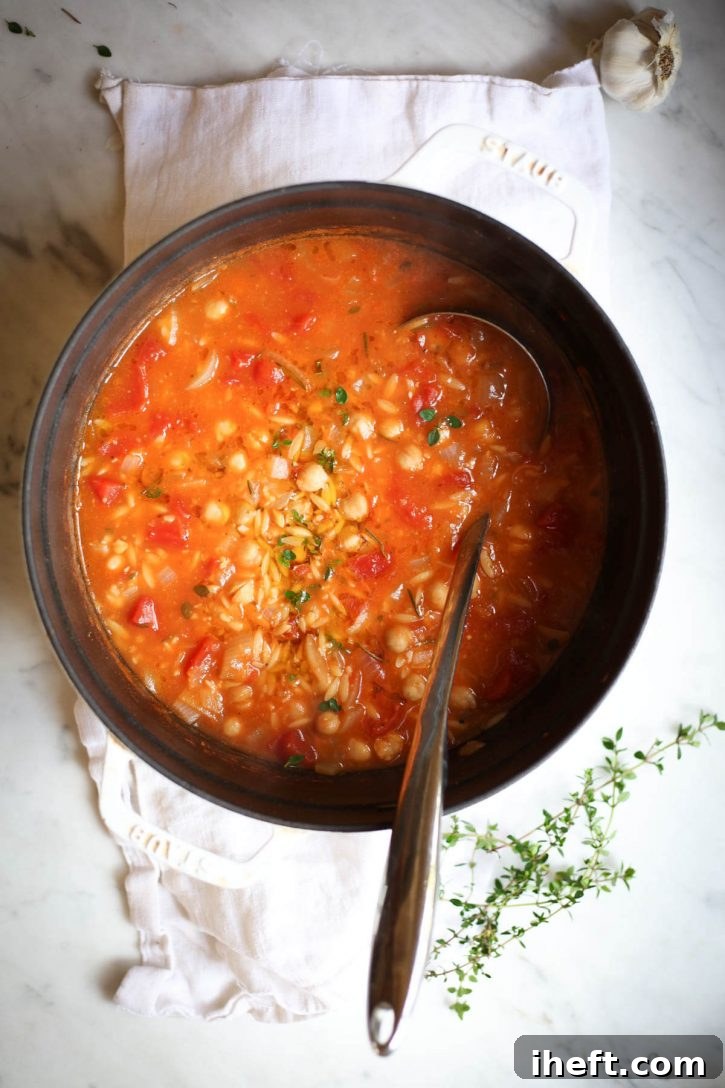 Chickpea (garbanzo bean), tomato, and orzo soup in a pot with a ladle. This tasty pasta e ceci soup is a great vegetarian Italian soup recipe. 
