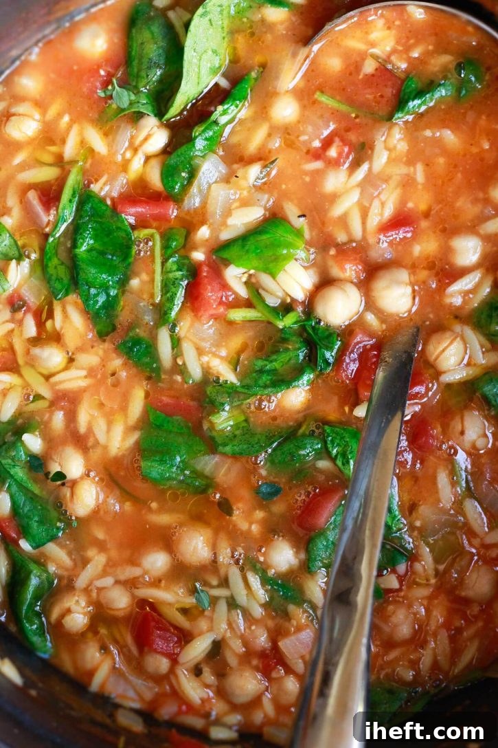 A close-up photo of pasta e ceci, and Italian chickpea tomato soup with pasta, herbs, and spinach. A healthy vegetarian Italian chickpea minestrone. 