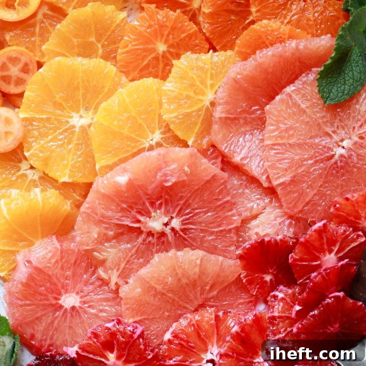 A beautiful citrus fruit salad with oranges, blood oranges, grapefruit, and kumquats.