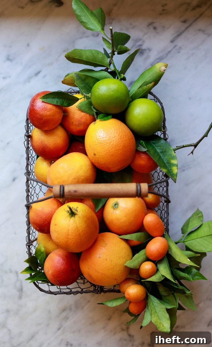 A beautiful photograph of a rustic basket brimming with an assortment of homegrown citrus fruits, including bright oranges, deep red blood oranges, and zesty limes, showcasing the bounty of the garden.