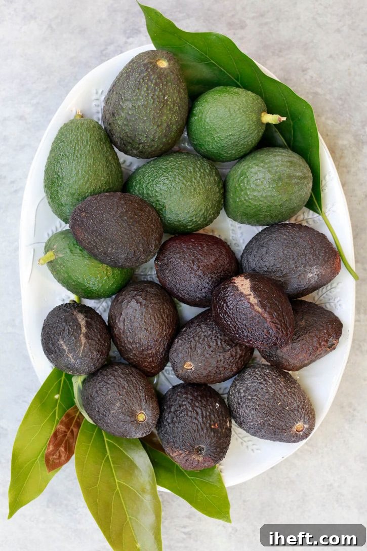 A beautiful display of ripe and mature Haas avocados artfully arranged on a pristine white oval platter.