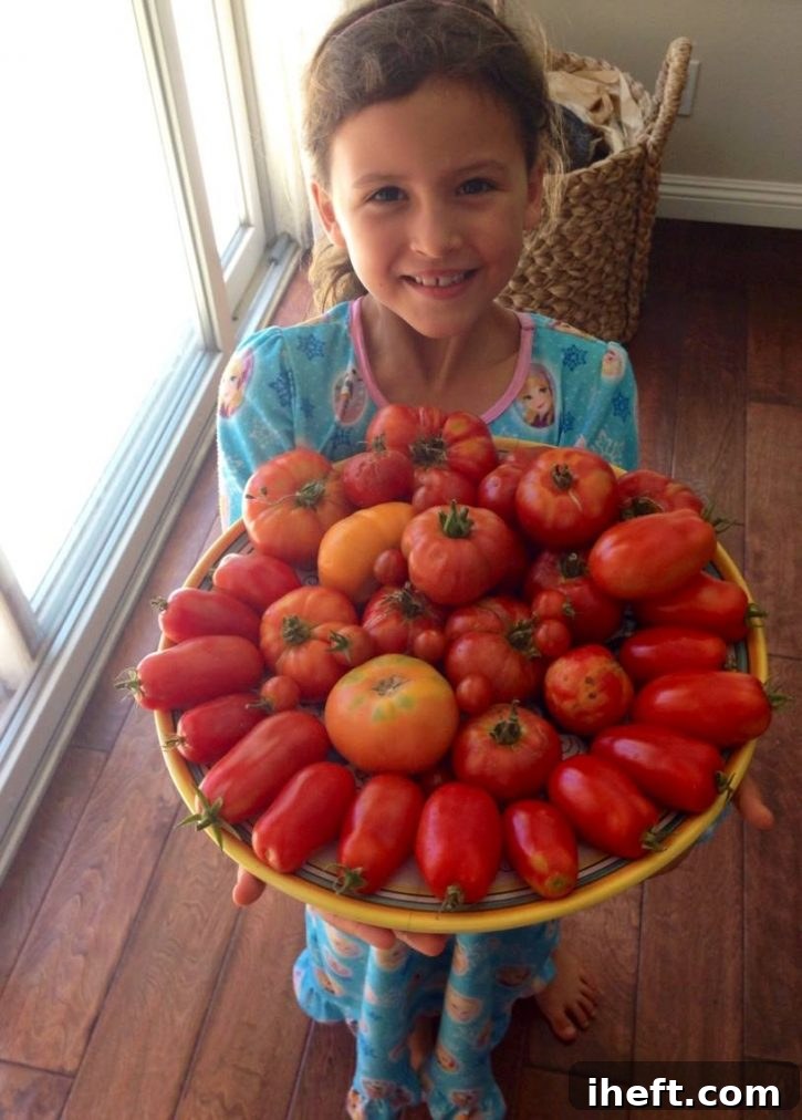 A little girl holding a large platter filled with various homegrown garden tomatoes. 
