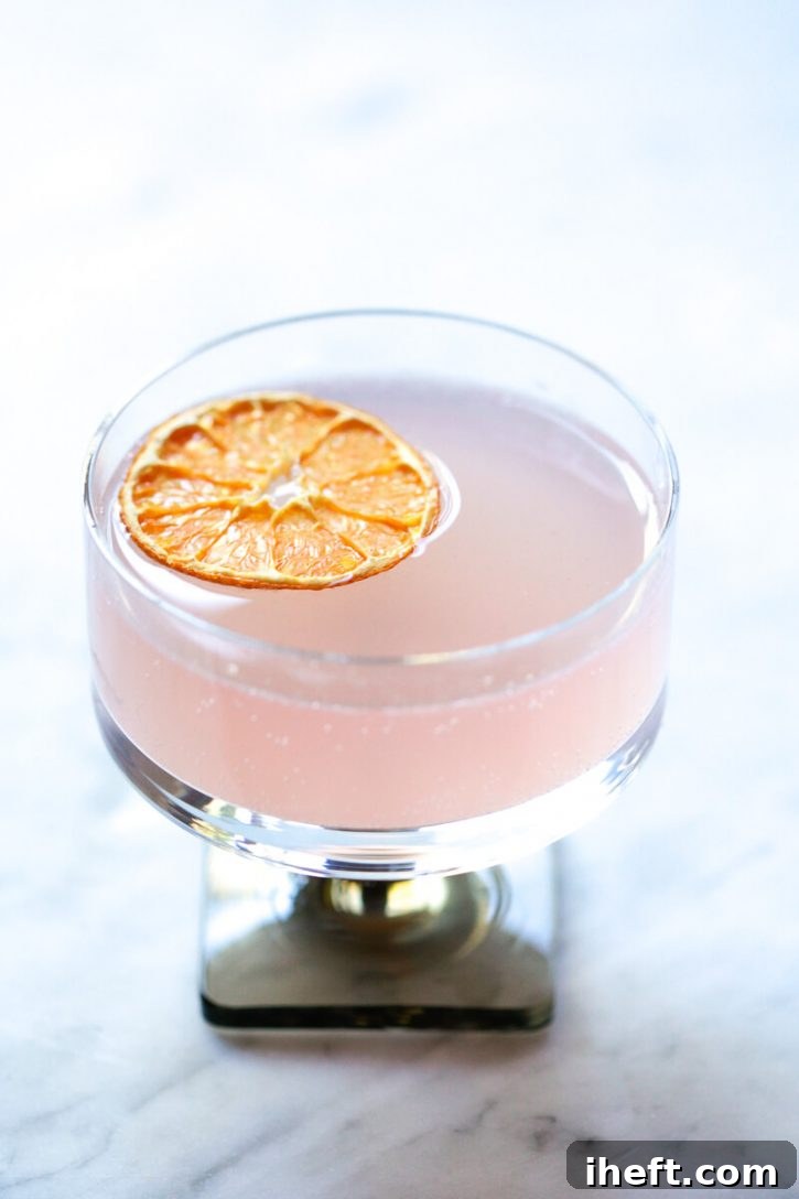 A beautiful pink martini cocktail is topped with a single dried orange slice. A beautiful cocktail garnish.