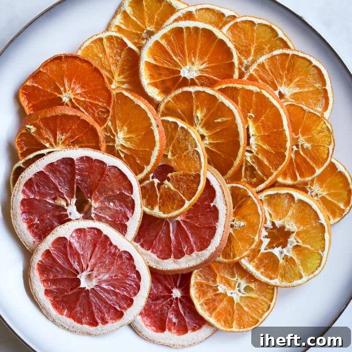 Dried Orange Slices