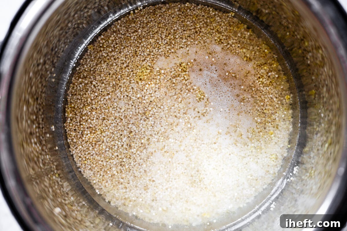 Dry quinoa and water inside an Instant Pot liner before cooking.