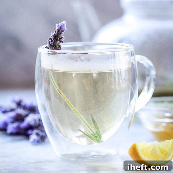 A cup of lavender tea in a glass cup garnished with a sprig of fresh lavender.