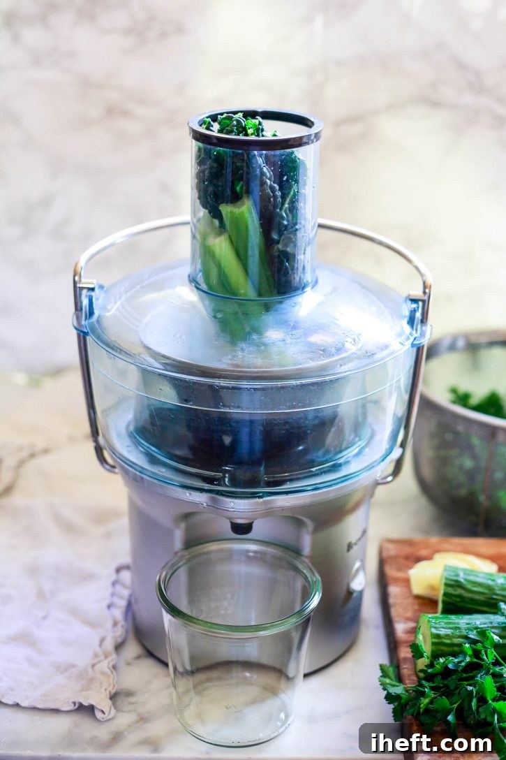 Kale, celery, and cucumber and shown in the feed tube of a Breville juicer. 