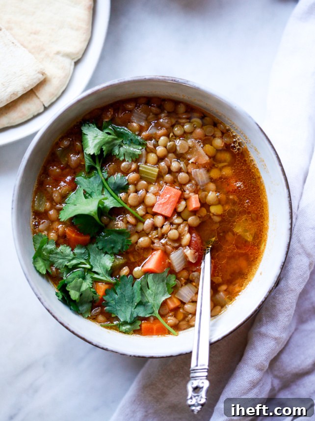 An overhead shot of a rustic bowl filled with traditional Greek Lentil Soup, known as Fakes, highlighting its wholesome ingredients and inviting texture.